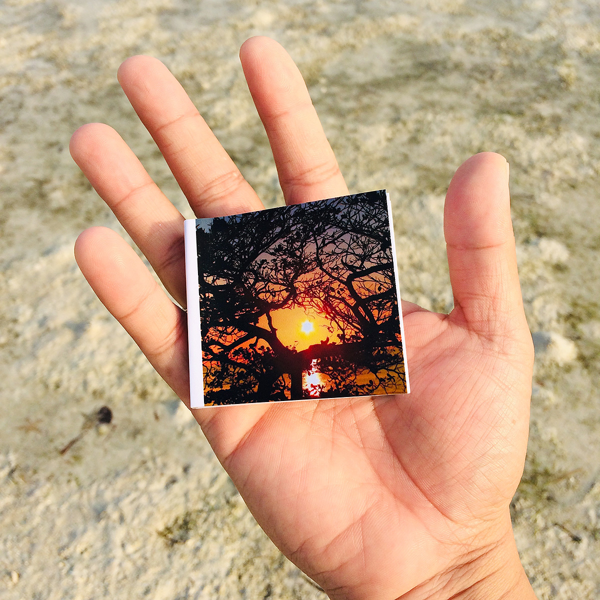 2x2 Fotogra Book